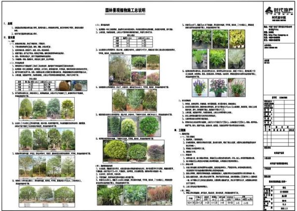 绿化公司怎么选_小区绿化多少钱一平方