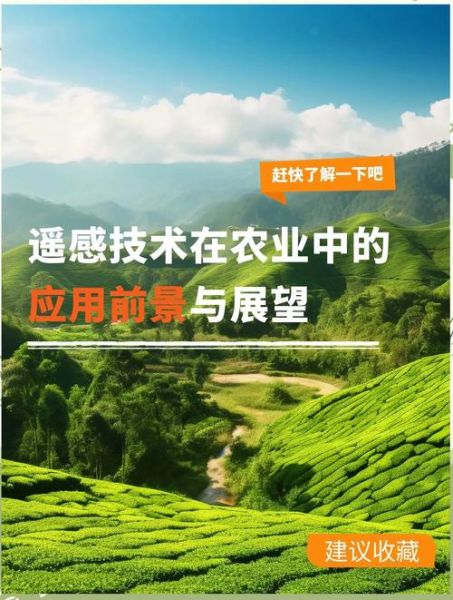 生态农业发展前景怎么样_生态农业创业机会有哪些