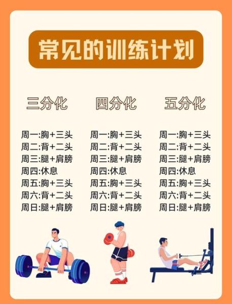 健身房怎么选_新手如何制定训练计划