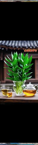 室内植物多久浇一次水_新手养什么植物好养