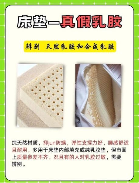 乳胶厂前景怎么样_乳胶行业还能赚钱吗