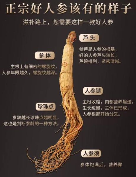 人参价格多少钱一斤_如何挑选优质人参