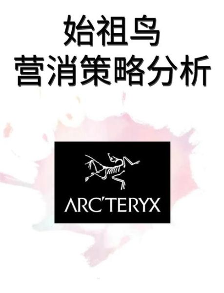 始祖鸟前景怎么样_始祖鸟未来趋势