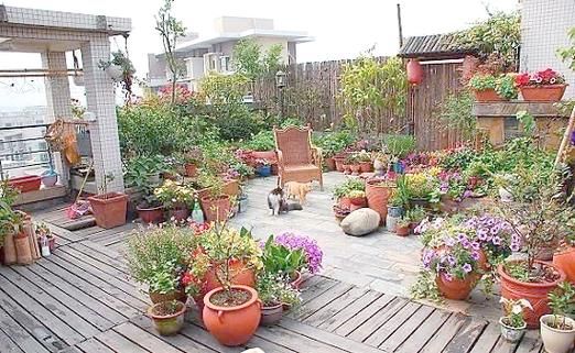 园艺发展前景怎么样_家庭园艺怎么入门