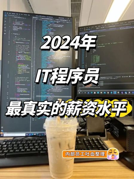 2024年IT行业前景如何_程序员如何提升竞争力