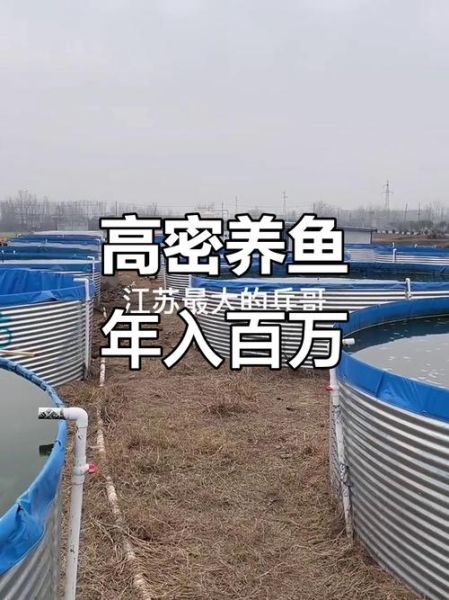 淡水养殖前景如何_2024年还能赚钱吗