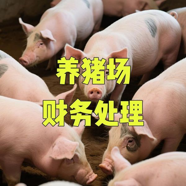 2016年养猪赚钱吗_2016年养猪前景如何