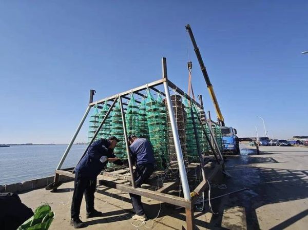 牡蛎养殖前景如何_牡蛎养殖赚钱吗