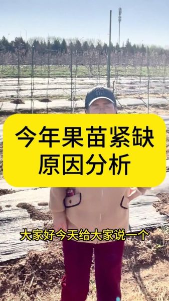 苗木发展前景怎么样_苗木行业未来趋势