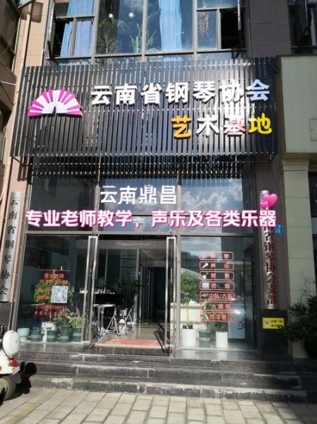 音乐培训前景怎么样_音乐培训机构如何盈利