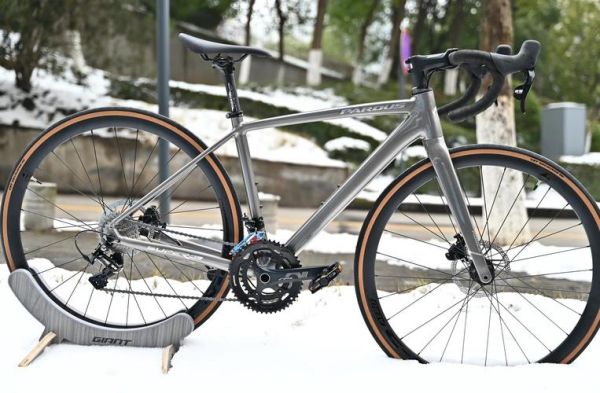 自行车市场前景如何_2024年值得投资吗