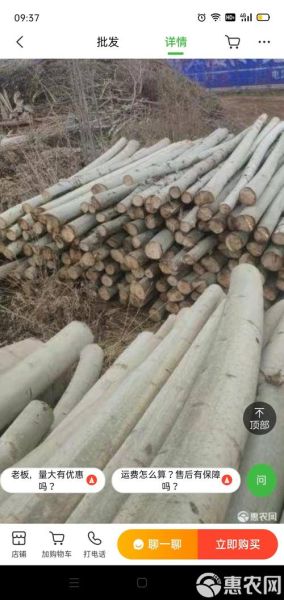 杨木价格走势_杨木市场前景如何