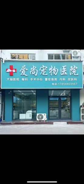 宠物医院前景怎么样_开宠物医院赚钱吗