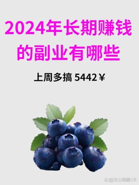 2024年做什么副业赚钱_市场前景如何
