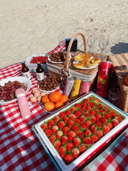 野餐去哪里好_野餐需要准备什么