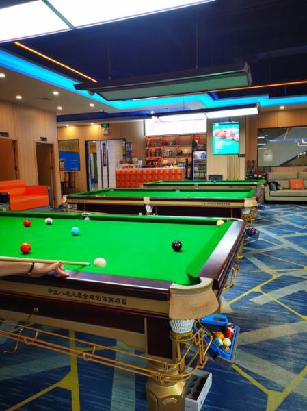 开台球厅赚钱吗_台球厅未来前景怎么样