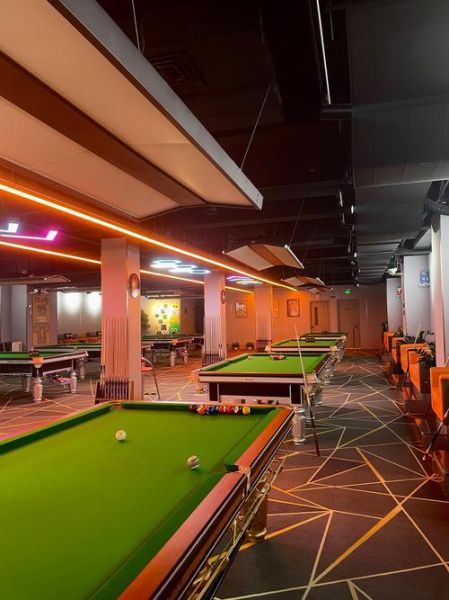 开台球厅赚钱吗_台球厅未来前景怎么样