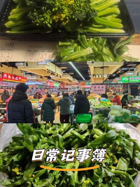 净菜行业前景怎么样_净菜加盟赚钱吗