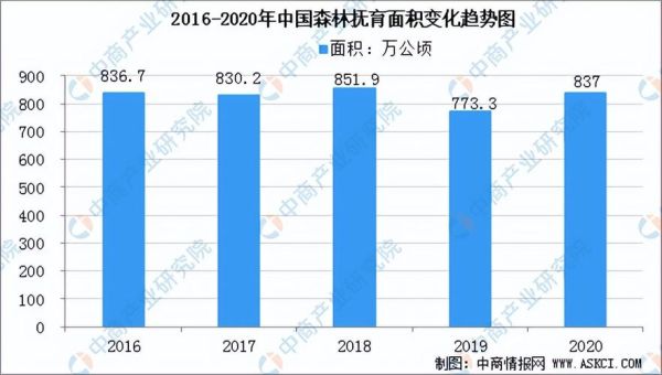 林业发展前景如何_林业行业未来趋势