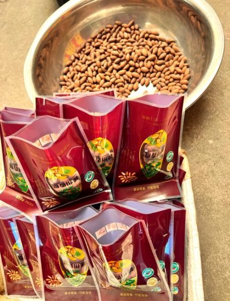 香榧种植前景怎么样_香榧价格走势如何