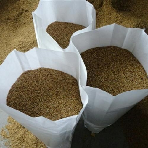 蝇蛆养殖赚钱吗_蝇蛆市场前景怎么样