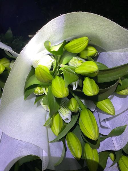 鲜切花前景怎么样_2024年还能赚钱吗