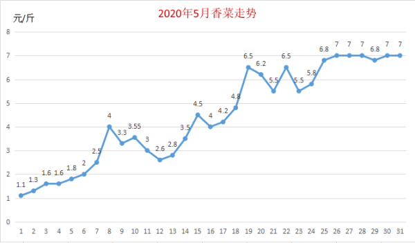 香菜种植前景怎么样_香菜价格走势如何