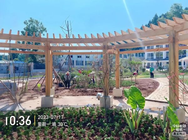 绿化工程前景怎么样_绿化工程赚钱吗