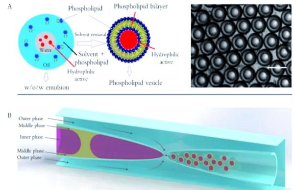 生物芯片前景怎么样_生物芯片应用领域有哪些