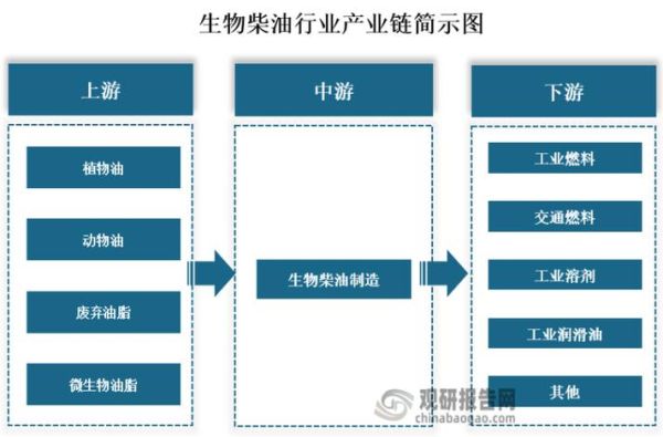 生物柴油发展前景_2024年市场潜力有多大