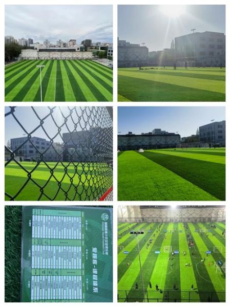 足球发展前景如何_青少年足球培训未来趋势