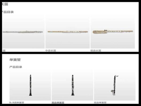 管乐的前景_学管乐有前途吗