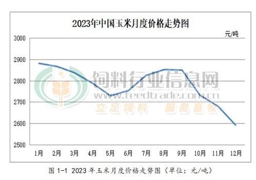 玉米种植前景怎么样_未来玉米价格走势如何