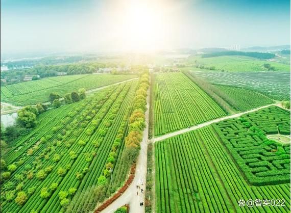 生态农业前景怎么样_生态农业赚钱吗