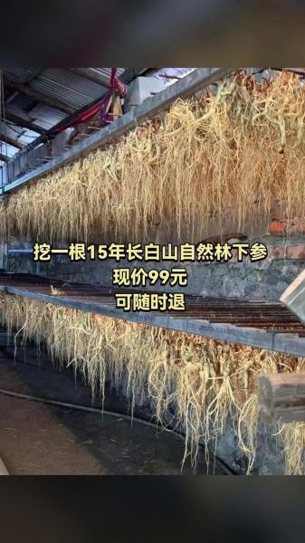 参茸行业前景怎么样_2024年还能做吗