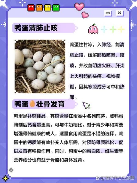 鸭蛋的营养价值_未来市场前景如何