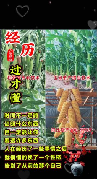 育种前景怎么样_未来十年哪些作物最赚钱