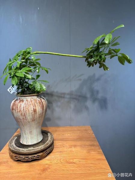 盆景生意赚钱吗_盆景市场前景怎么样