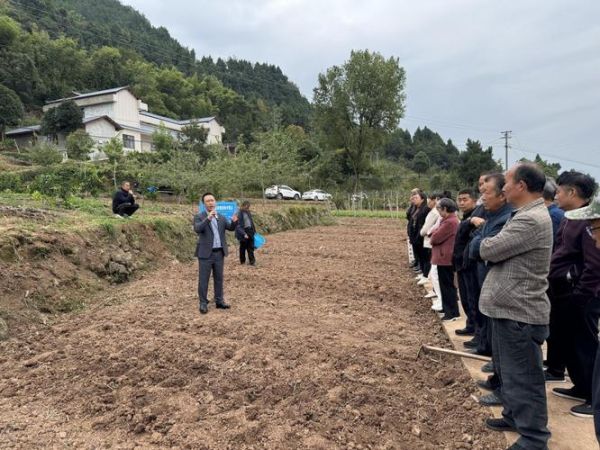 龙山发展前景怎么样_龙山未来有哪些产业机会