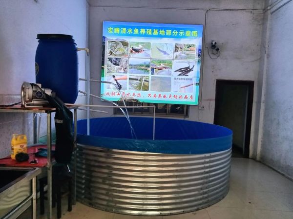 淡水鱼养殖前景怎么样_淡水鱼养殖赚钱吗