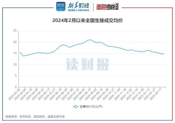 猪肉价格走势预测_2024年养猪还能赚钱吗